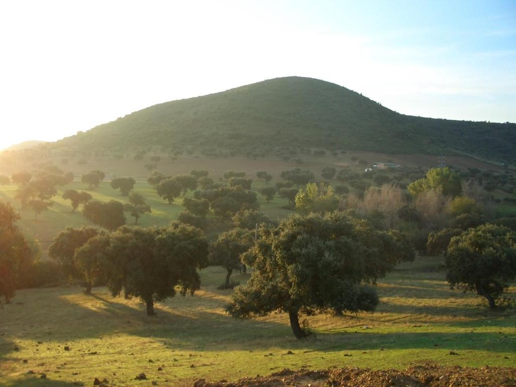 Cortijo El Criadero El Hoyo 客房 照片