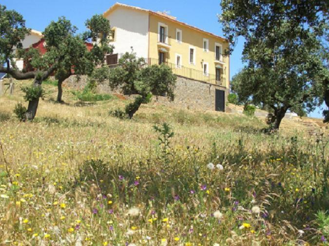 Cortijo El Criadero El Hoyo 外观 照片